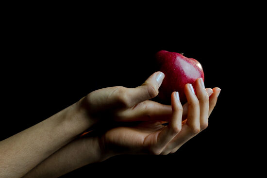 fruits