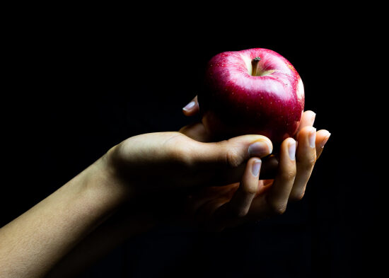 fruits